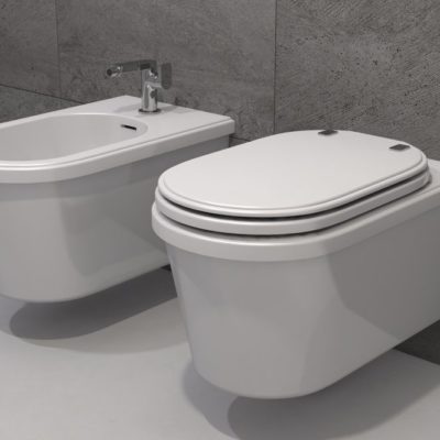 modern toilet